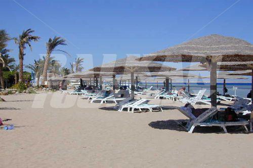 holiday in Conrad International