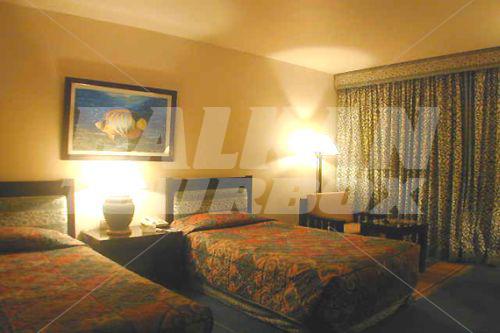 holiday in Conrad International