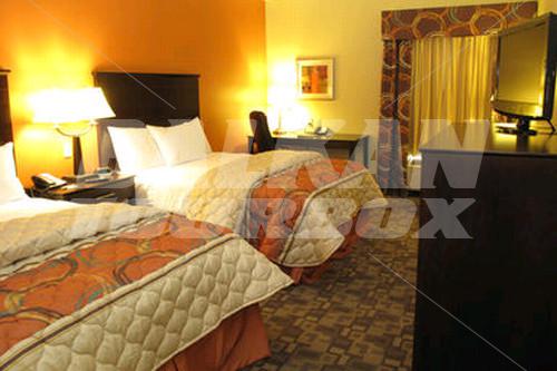 holiday in Conrad International