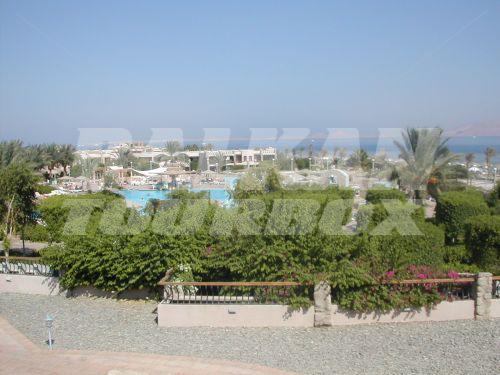 holiday in Conrad International