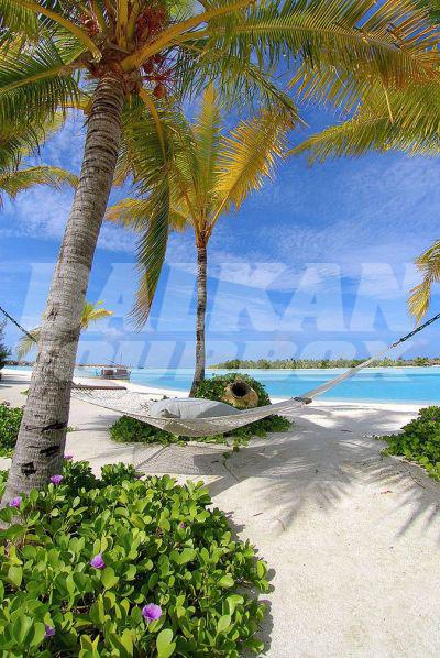 почивка в Naladhu Maldives