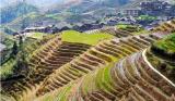 Sightseeing in China Yangsho