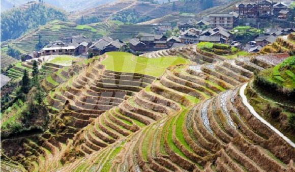 Yangsho, Guilin