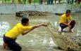Langkawi Crocodile Farm, о-в Лангауи, , Langkawi Crocodile Farm, о-в Лангауи