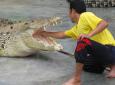 Langkawi Crocodile Farm, о-в Лангауи, , Langkawi Crocodile Farm, о-в Лангауи