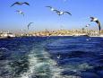 Goden Horn, Istanbul, Turkey, Goden Horn, Istanbul
