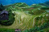 Yangsho, Guilin, China, Yangsho, Guilin